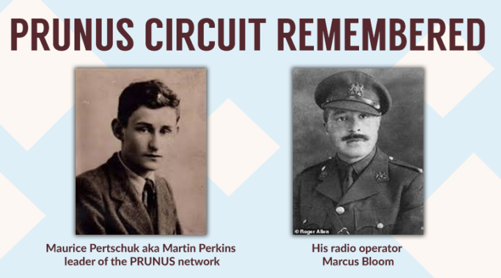 PRUNUS Circuit Remembered Image