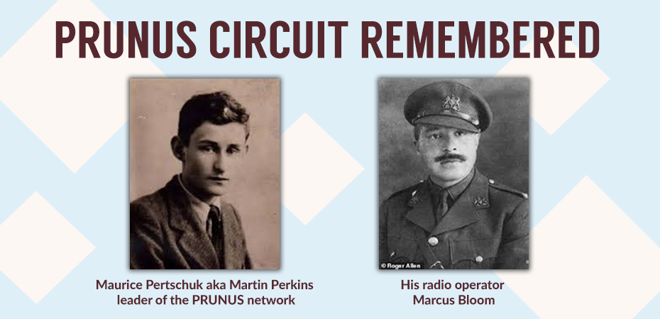 PRUNUS Circuit Remembered Image